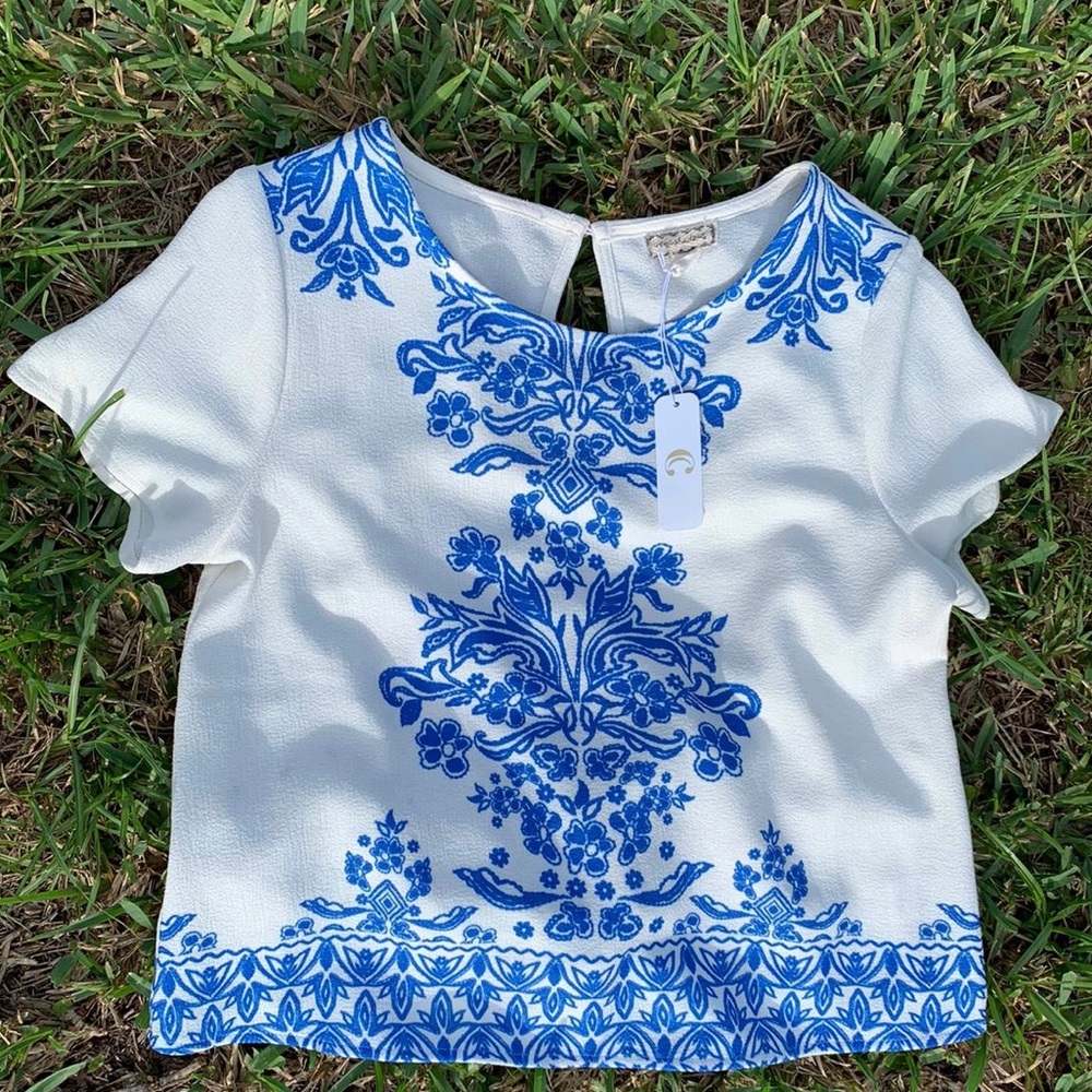 White and Blue Blouse